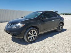 2014 Nissan Murano Crosscabriolet en venta en Arcadia, FL