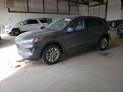 Salvage cars for sale at Lexington, KY auction: 2020 Ford Escape SE