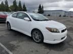 2008 Scion TC