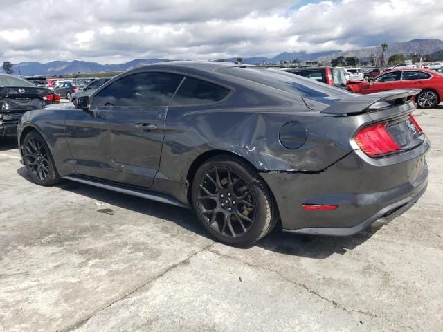 2019 Ford Mustang