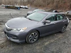 Salvage cars for sale at Marlboro, NY auction: 2016 Honda Accord EXL