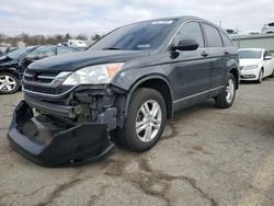 2010 Honda CR-V EX en venta en Pennsburg, PA