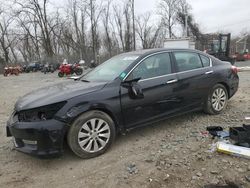 Salvage cars for sale at Baltimore, MD auction: 2013 Honda Accord EXL