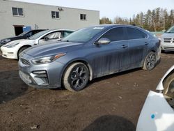 Salvage cars for sale at Cookstown, ON auction: 2019 KIA Forte EX