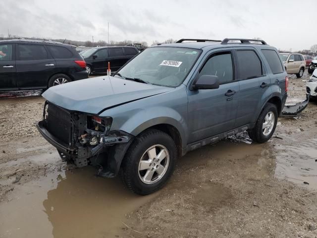 2012 Ford Escape XLT