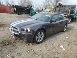 Salvage cars for sale at Baltimore, MD auction: 2013 Dodge Charger SE