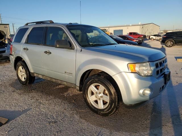 2009 Ford Escape Hybrid