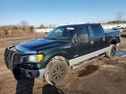 Ford salvage cars for sale: 2012 Ford F150 Supercrew