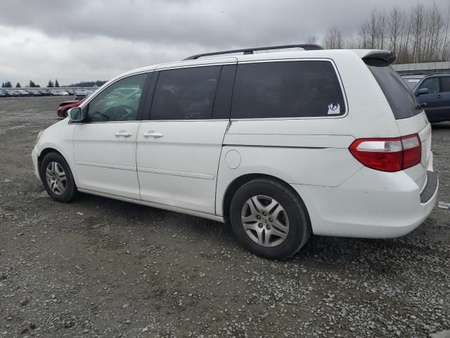 2005 Honda Odyssey EXL