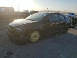 Salvage cars for sale at Indianapolis, IN auction: 2007 Scion TC