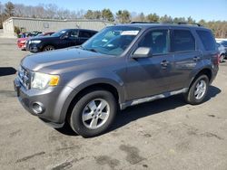 Salvage cars for sale at Exeter, RI auction: 2009 Ford Escape XLT