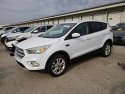 2017 Ford Escape SE en venta en Louisville, KY