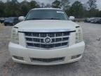 2010 Cadillac Escalade ESV Platinum