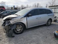 Honda salvage cars for sale: 2013 Honda Odyssey EX