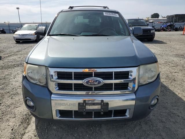 2010 Ford Escape Limited