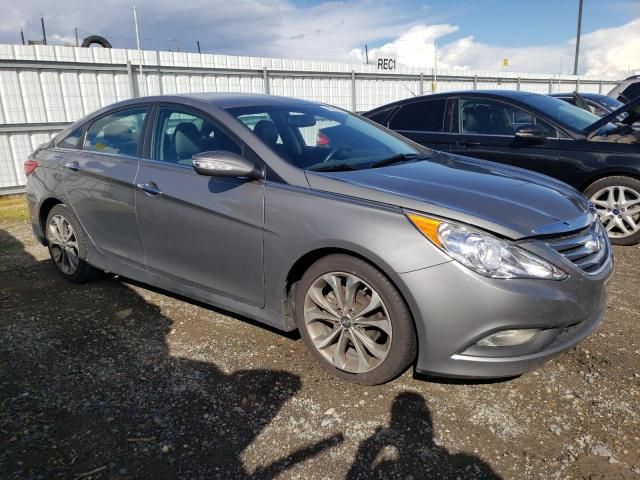 2014 Hyundai Sonata SE