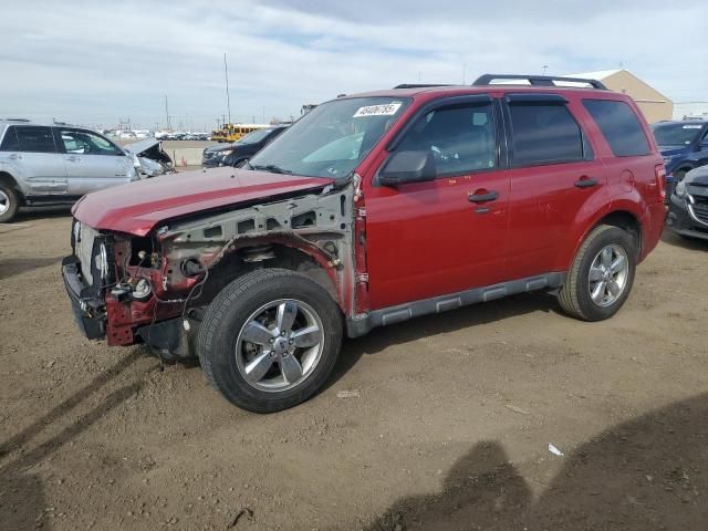 2009 Ford Escape XLT