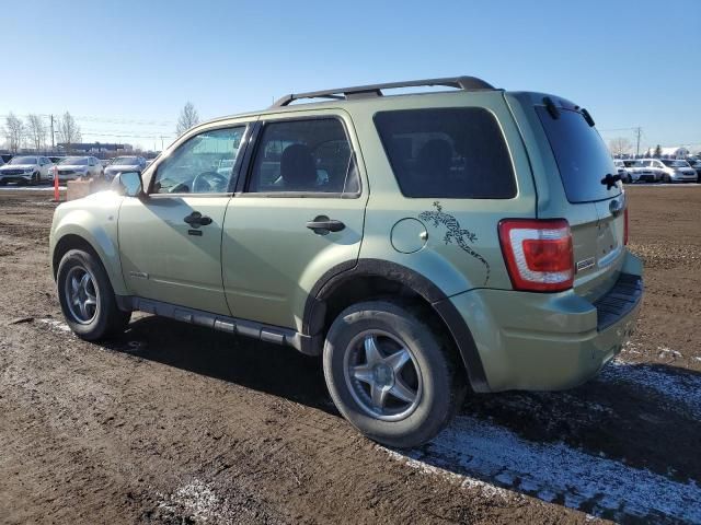 2008 Ford Escape XLT