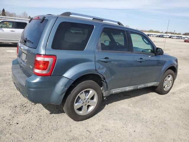 2010 Ford Escape Limited