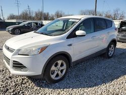 Ford salvage cars for sale: 2016 Ford Escape SE