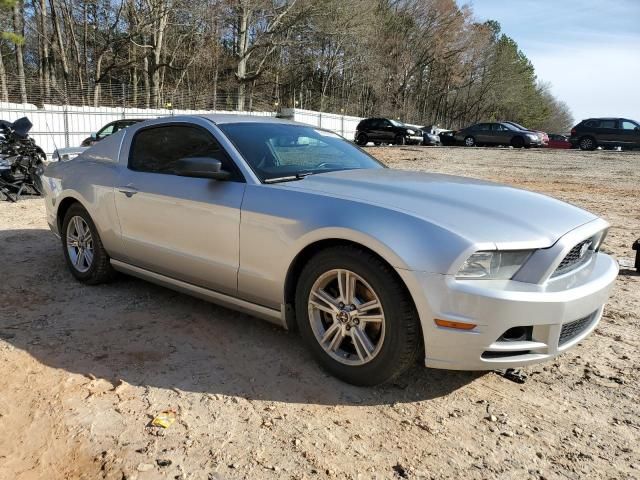 2013 Ford Mustang