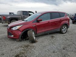 Salvage cars for sale at Earlington, KY auction: 2016 Ford Escape SE