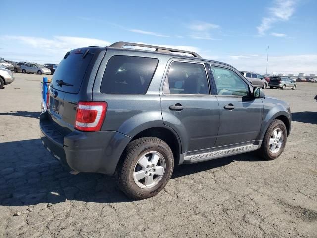 2009 Ford Escape XLT