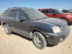 2004 Hyundai Santa FE GLS