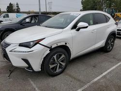 Salvage cars for sale at Rancho Cucamonga, CA auction: 2020 Lexus NX 300