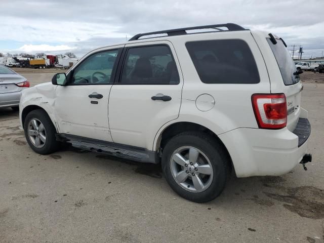 2012 Ford Escape XLT