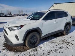 Salvage cars for sale at Rocky View County, AB auction: 2020 Toyota Rav4 LE