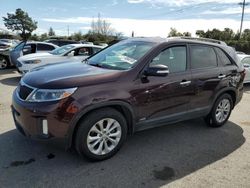 Salvage cars for sale at San Martin, CA auction: 2014 KIA Sorento EX