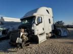 2019 Freightliner Cascadia 126