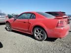 2004 Ford Mustang