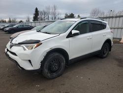 Toyota rav4 xle Vehiculos salvage en venta: 2017 Toyota Rav4 XLE