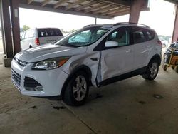 SUV salvage a la venta en subasta: 2014 Ford Escape SE