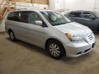 2010 Honda Odyssey EXL