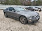 2013 Ford Mustang