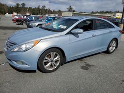 Hyundai salvage cars for sale: 2013 Hyundai Sonata SE