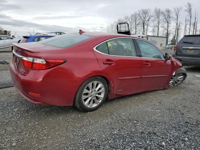 2014 Lexus ES 300H