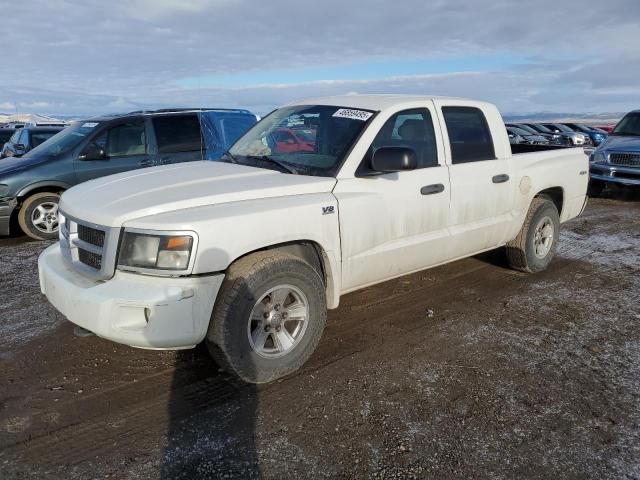 2009 Dodge Dakota SXT