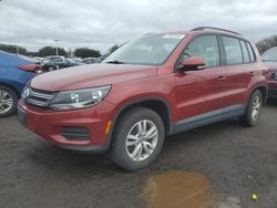 Salvage cars for sale at East Granby, CT auction: 2016 Volkswagen Tiguan S