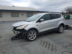 4 X 4 for sale at auction: 2013 Ford Escape SEL