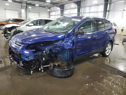 Salvage cars for sale at Ham Lake, MN auction: 2014 Ford Escape Titanium