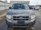 2011 Ford Escape XLS