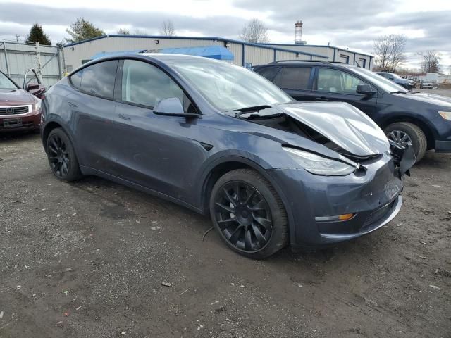 2020 Tesla Model Y