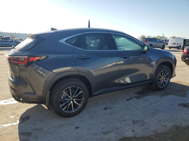 2024 Lexus NX 250 Base