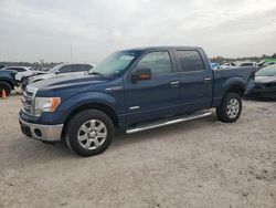 Carros salvage a la venta en subasta: 2013 Ford F150 Supercrew