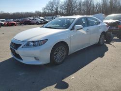 Salvage cars for sale at Glassboro, NJ auction: 2013 Lexus ES 350