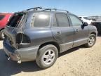 2004 Hyundai Santa FE GLS